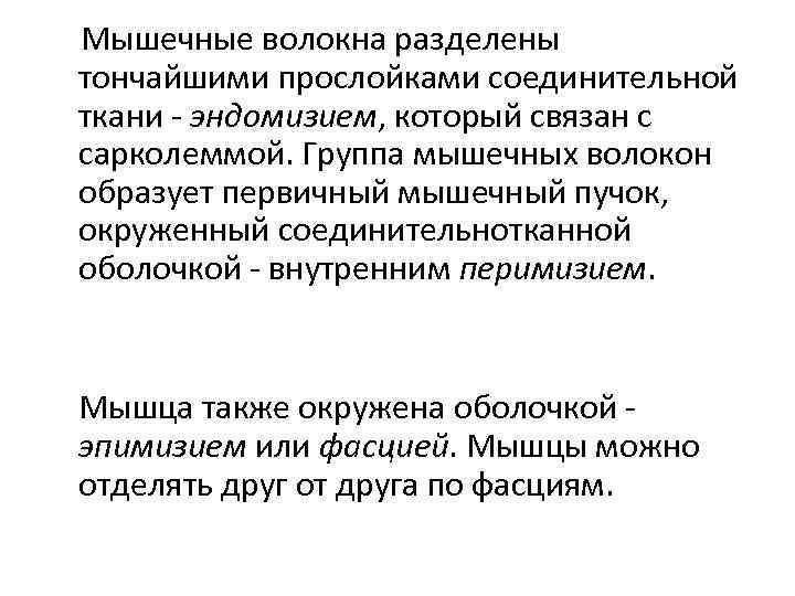 Мышечные волокна разделены тончайшими прослойками соединительной ткани - эндомизием, который связан с сарколеммой. Группа