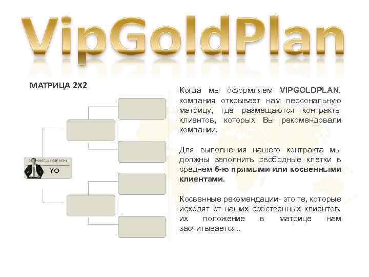 MATРИЦА 2 X 2 Когда мы оформляем VIPGOLDPLAN, компания открывает нам персональную матрицу, где