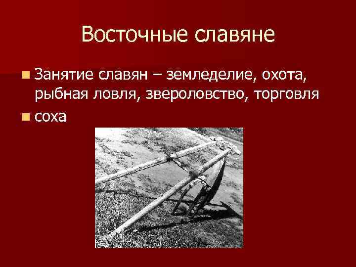 Восточные славяне n Занятие славян – земледелие, охота, рыбная ловля, звероловство, торговля n соха