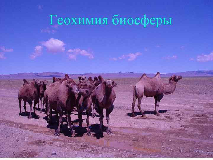 Геохимия биосферы 