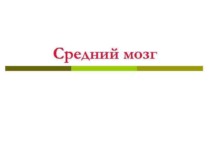 Средний мозг 