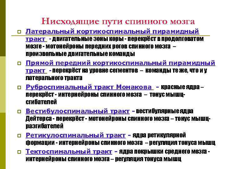 Нисходящие пути спинного мозга p p p Латеральный кортикоспинальный пирамидный тракт - двигательные зоны