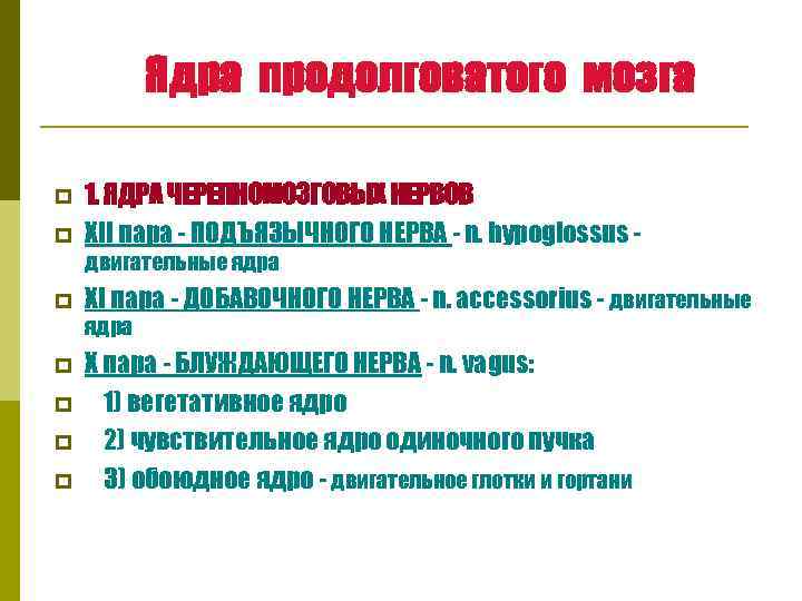 Ядра продолговатого мозга p p 1. ЯДРА ЧЕРЕПНОМОЗГОВЫХ НЕРВОВ XII пара - ПОДЪЯЗЫЧНОГО НЕРВА