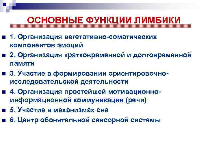ОСНОВНЫЕ ФУНКЦИИ ЛИМБИКИ n n n 1. Организация вегетативно-соматических компонентов эмоций 2. Организация кратковременной