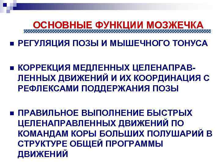 ОСНОВНЫЕ ФУНКЦИИ МОЗЖЕЧКА n РЕГУЛЯЦИЯ ПОЗЫ И МЫШЕЧНОГО ТОНУСА n КОРРЕКЦИЯ МЕДЛЕННЫХ ЦЕЛЕНАПРАВЛЕННЫХ ДВИЖЕНИЙ