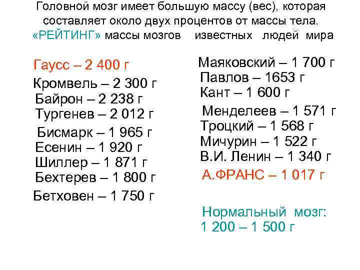 Головной мозг имеет большую массу (вес), которая составляет около двух процентов от массы тела.