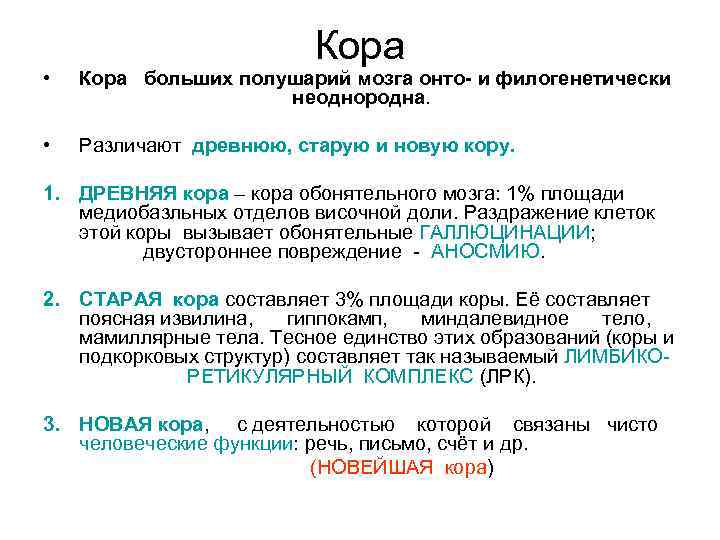 Кора • Кора больших полушарий мозга онто- и филогенетически неоднородна. • Различают древнюю, старую