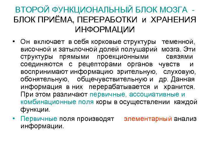 ВТОРОЙ ФУНКЦИОНАЛЬНЫЙ БЛОК МОЗГА - БЛОК ПРИЁМА, ПЕРЕРАБОТКИ и ХРАНЕНИЯ ИНФОРМАЦИИ • Он включает