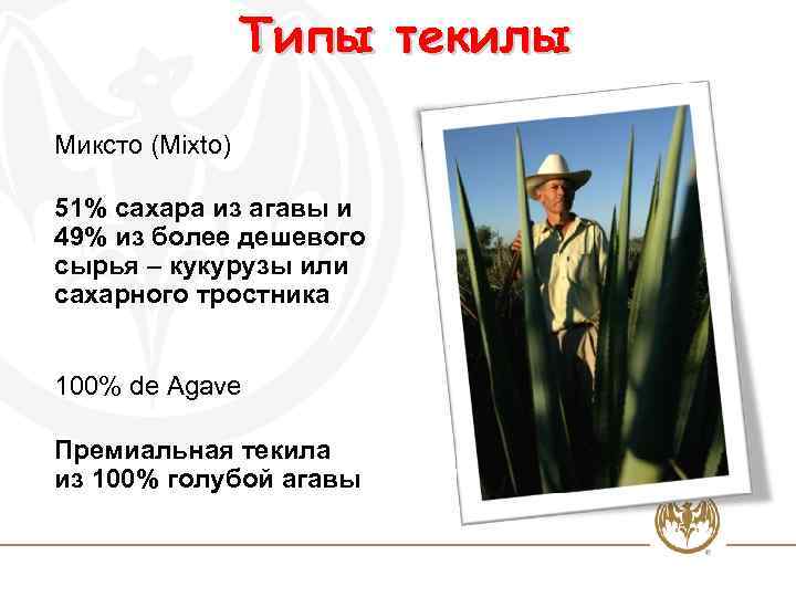 Типы текилы Миксто (Mixto) 51% сахара из агавы и 49% из более дешевого сырья
