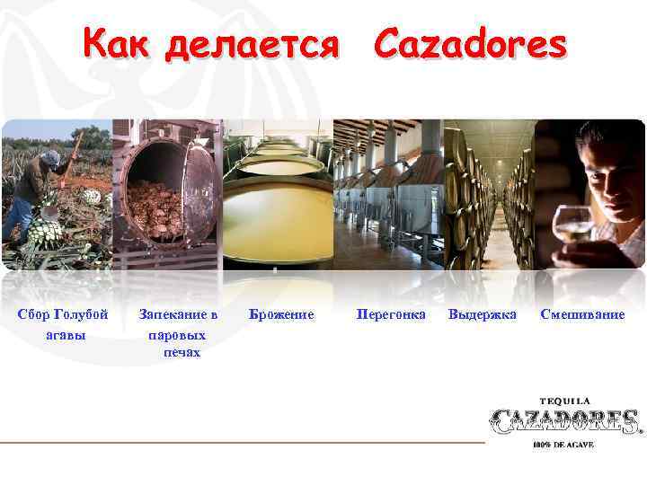 Как делается Cazadores Сбор Голубой агавы Запекание в паровых печах Брожение Перегонка Выдержка Смешивание