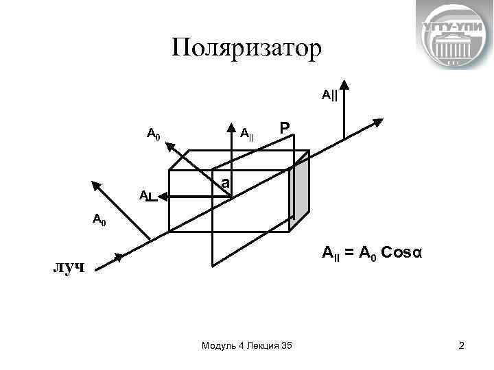 Проекционная картина поляризованного света