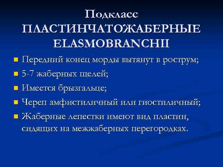 Подкласс ПЛАСТИНЧАТОЖАБЕРНЫЕ ELASMOBRANCHII Передний конец морды вытянут в рострум; n 5 -7 жаберных щелей;