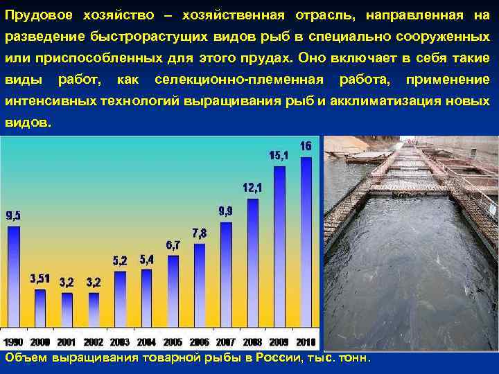 Прудовое хозяйство – хозяйственная отрасль, направленная на разведение быстрорастущих видов рыб в специально сооруженных