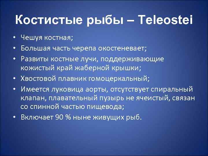 Костистые рыбы – Teleostei • Чешуя костная; • Большая часть черепа окостеневает; • Развиты