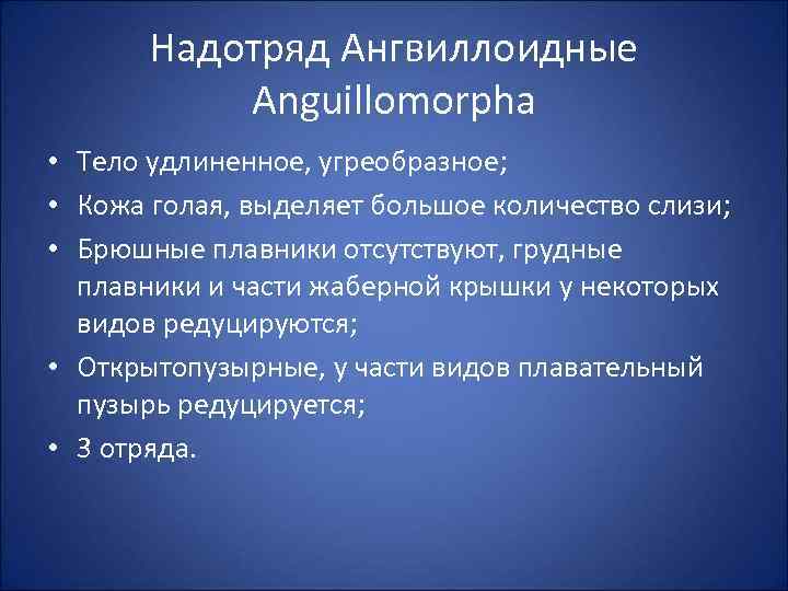 Надотряд Ангвиллоидные Anguillomorpha • Тело удлиненное, угреобразное; • Кожа голая, выделяет большое количество слизи;