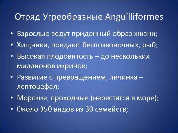 Отряд Угреобразные Anguilliformes • Взрослые ведут придонный образ жизни; • Хищники, поедают беспозвоночных, рыб;