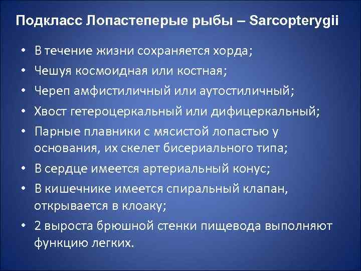 Подкласс Лопастеперые рыбы – Sarcopterygii В течение жизни сохраняется хорда; Чешуя космоидная или костная;