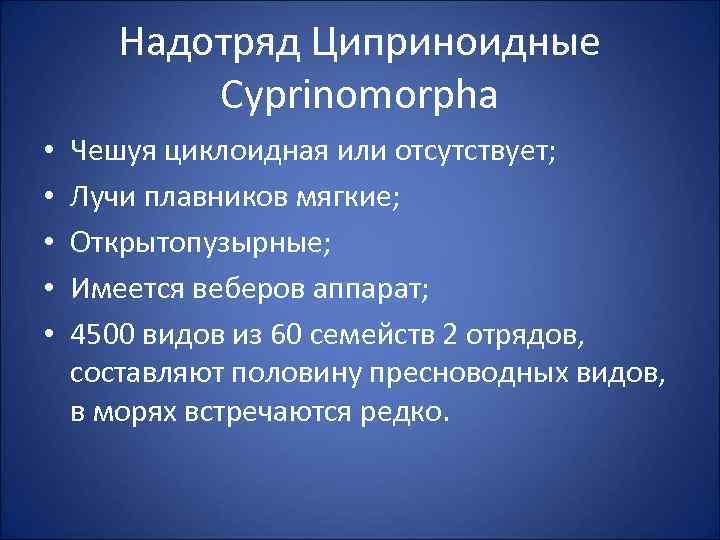 Надотряд Циприноидные Cyprinomorpha • • • Чешуя циклоидная или отсутствует; Лучи плавников мягкие; Открытопузырные;