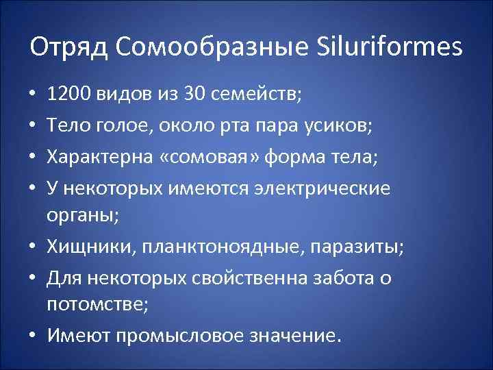 Отряд Сомообразные Siluriformes 1200 видов из 30 семейств; Тело голое, около рта пара усиков;