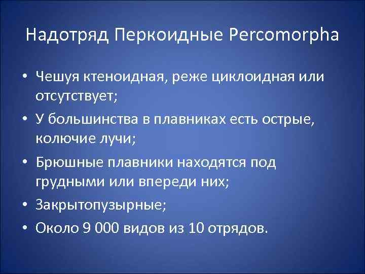 Надотряд Перкоидные Percomorpha • Чешуя ктеноидная, реже циклоидная или отсутствует; • У большинства в