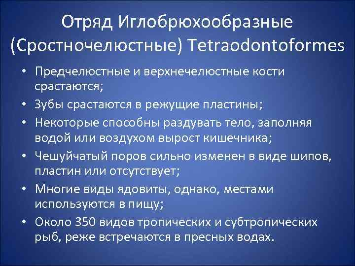 Отряд Иглобрюхообразные (Сростночелюстные) Tetraodontoformes • Предчелюстные и верхнечелюстные кости срастаются; • Зубы срастаются в
