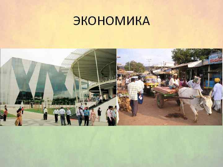 ЭКОНОМИКА 
