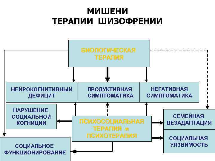 МИШЕНИ ТЕРАПИИ ШИЗОФРЕНИИ БИОЛОГИЧЕСКАЯ ТЕРАПИЯ НЕЙРОКОГНИТИВНЫЙ ДЕФИЦИТ НАРУШЕНИЕ СОЦИАЛЬНОЙ КОГНИЦИИ СОЦИАЛЬНОЕ ФУНКЦИОНИРОВАНИЕ ПРОДУКТИВНАЯ СИМПТОМАТИКА