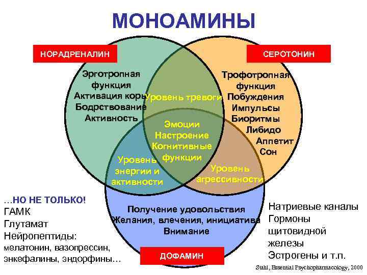 МОНОАМИНЫ НОРАДРЕНАЛИН СЕРОТОНИН Эрготропная Трофотропная функция Активация коры Уровень тревоги Побуждения Бодрствование Импульсы Активность