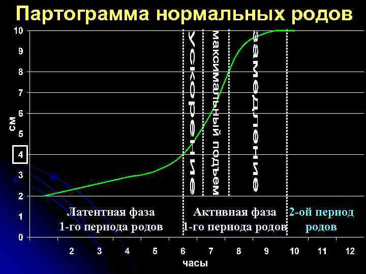 Периоды нормальных родов