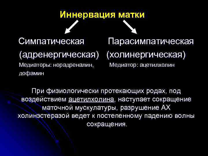 Иннервация матки Симпатическая Парасимпатическая (адренергическая) (холинергическая) Медиаторы: норадреналин, дофамин Медиатор: ацетилхолин При физиологически протекающих