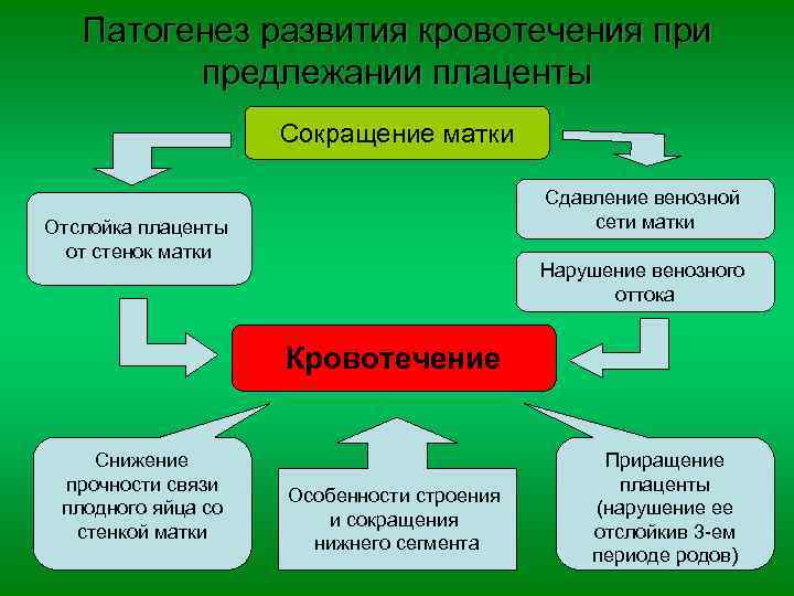 Патогенез развития кровотечения при предлежании плаценты Сокращение матки Сдавление венозной сети матки Отслойка плаценты