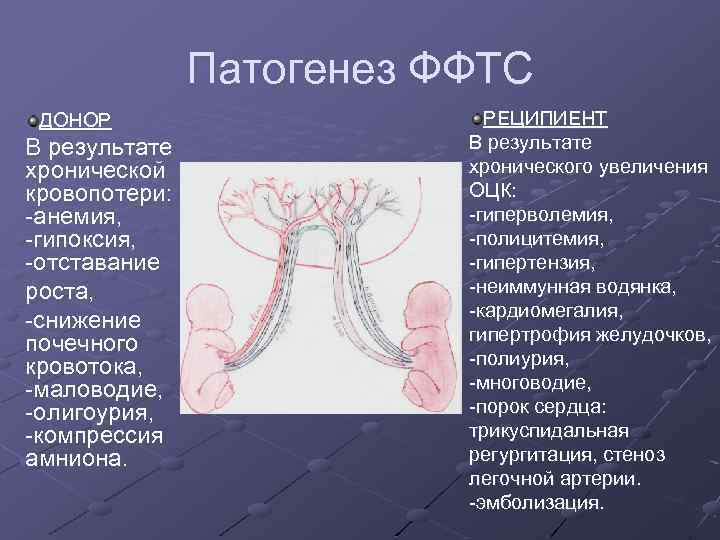 Патогенез ФФТС ДОНОР В результате хронической кровопотери: -анемия, -гипоксия, -отставание роста, -снижение почечного кровотока,