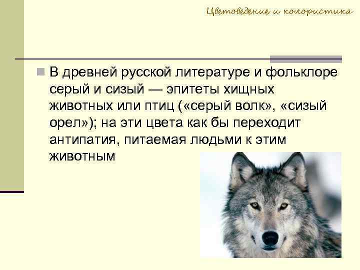 Цветоведение и колористика В древней русской литературе и фольклоре серый и сизый — эпитеты