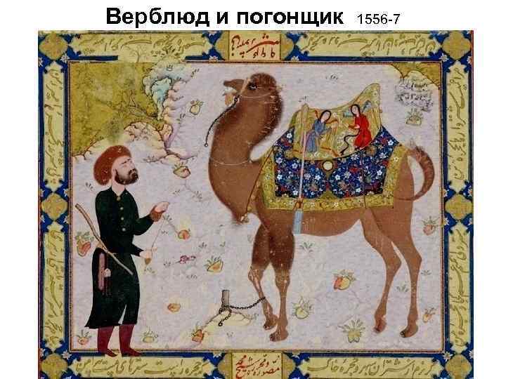 Верблюд и погонщик 1556 -7 