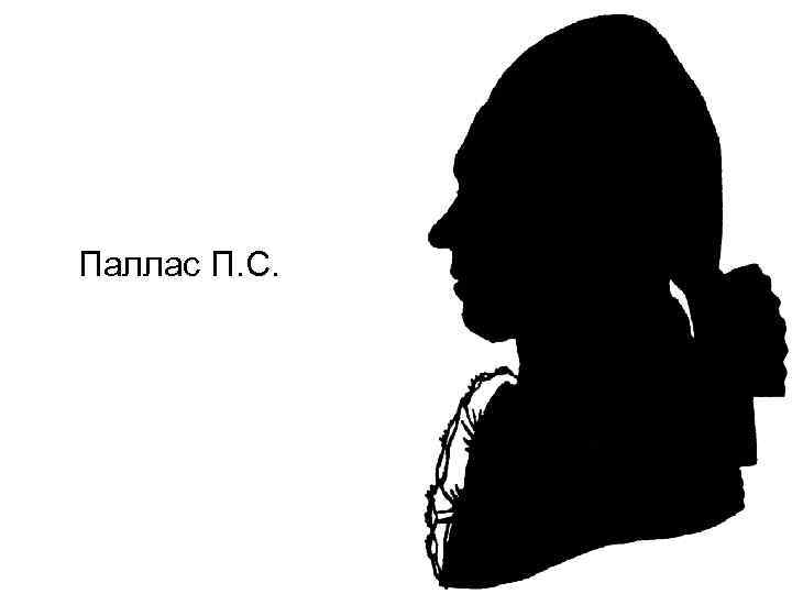 Паллас П. С. 