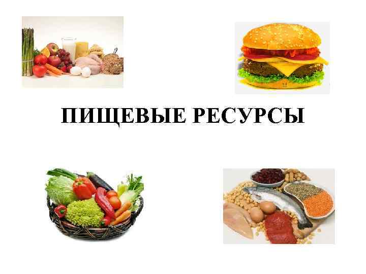 ПИЩЕВЫЕ РЕСУРСЫ 