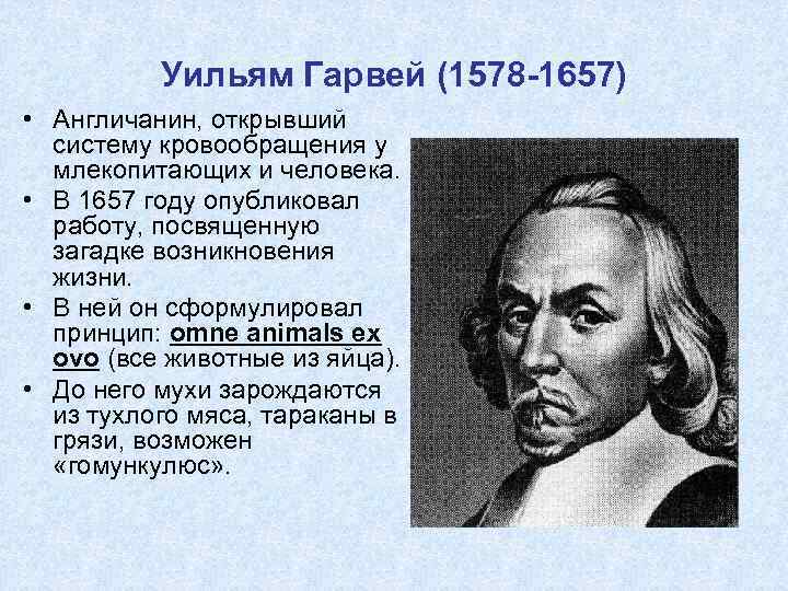 Элемент отсутствовавший в системе кровообращения представленной гарвеем