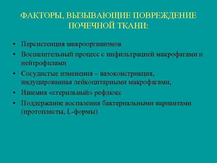 ФАКТОРЫ, ВЫЗЫВАЮЩИЕ ПОВРЕЖДЕНИЕ ПОЧЕЧНОЙ ТКАНИ: • Персистенция микроорганизмов • Воспалительный процесс с инфильтрацией макрофагами