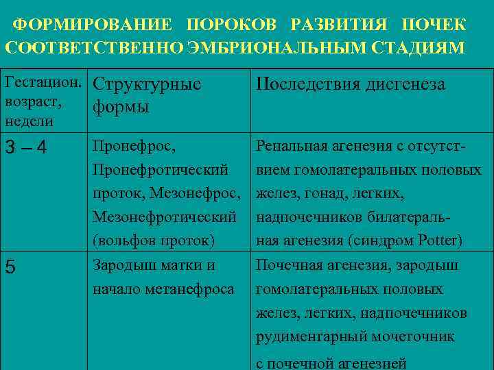 ФОРМИРОВАНИЕ ПОРОКОВ РАЗВИТИЯ ПОЧЕК СООТВЕТСТВЕННО ЭМБРИОНАЛЬНЫМ СТАДИЯМ Гестацион. Структурные возраст, формы недели Пронефрос, 3–
