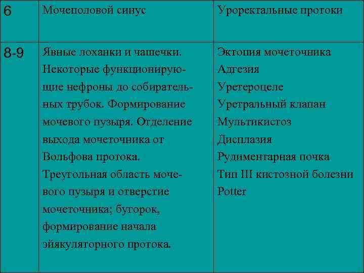 6 Мочеполовой синус Уроректальные протоки 8 -9 Явные лоханки и чашечки. Некоторые функционирующие нефроны