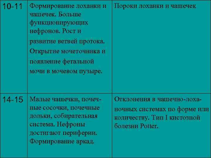 10 -11 Формирование лоханки и Пороки лоханки и чашечек. Больше функционирующих нефронов. Рост и