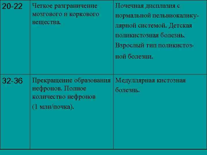 20 -22 Четкое разграничение мозгового и коркового вещества. Почечная дисплазия с нормальной пельвиокаликулярной системой.