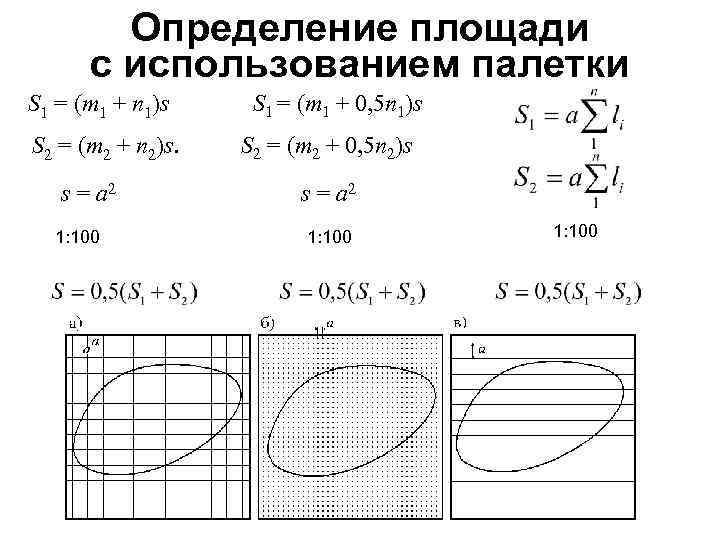 Карта с измерением площади