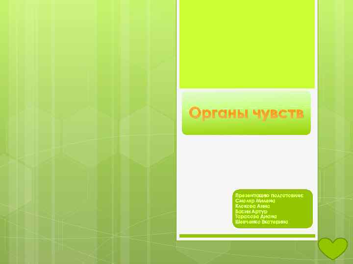 Органы чувств Презентацию подготовили: Смоляр Милена Клокова Анна Васин Артур Тарасова Диана Шевченко Екатерина
