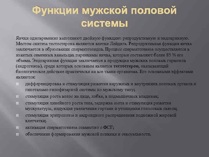 Функции мужской половой системы Яички одновременно выполняют двойную функцию: репродуктивную и эндокринную. Местом синтеза