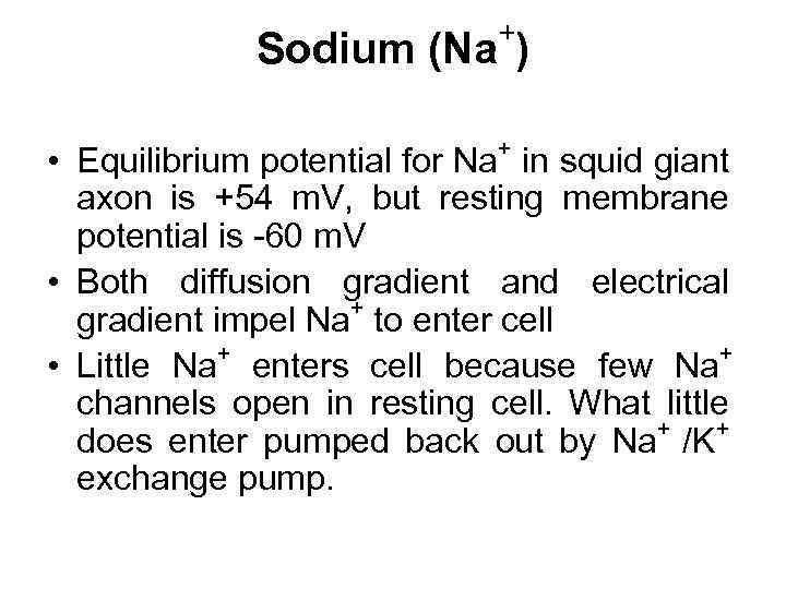 + Sodium (Na ) + • Equilibrium potential for Na in squid giant axon
