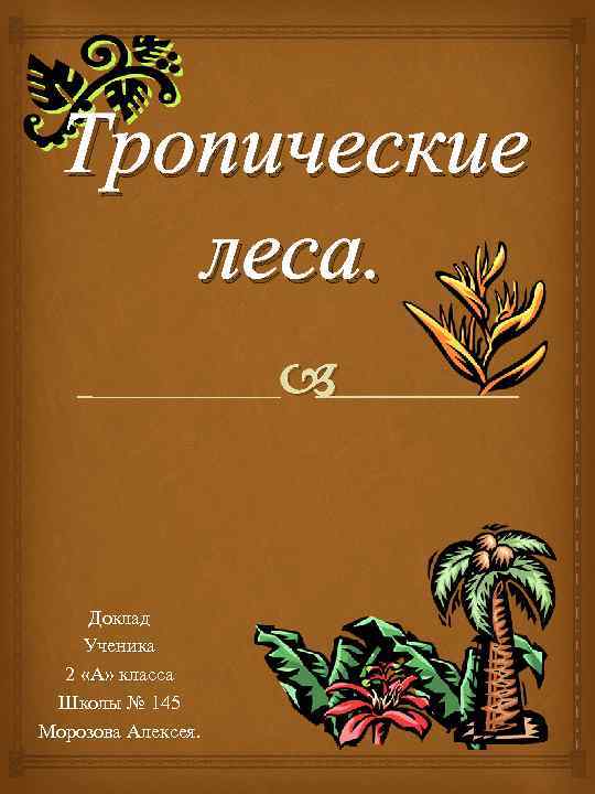Тропические леса. Доклад Ученика 2 «А» класса Школы № 145 Морозова Алексея. 