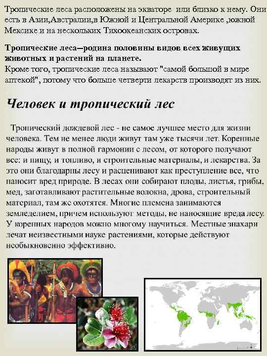 Тропические леса расположены на экваторе или близко к нему. Они есть в Азии, Австралии,