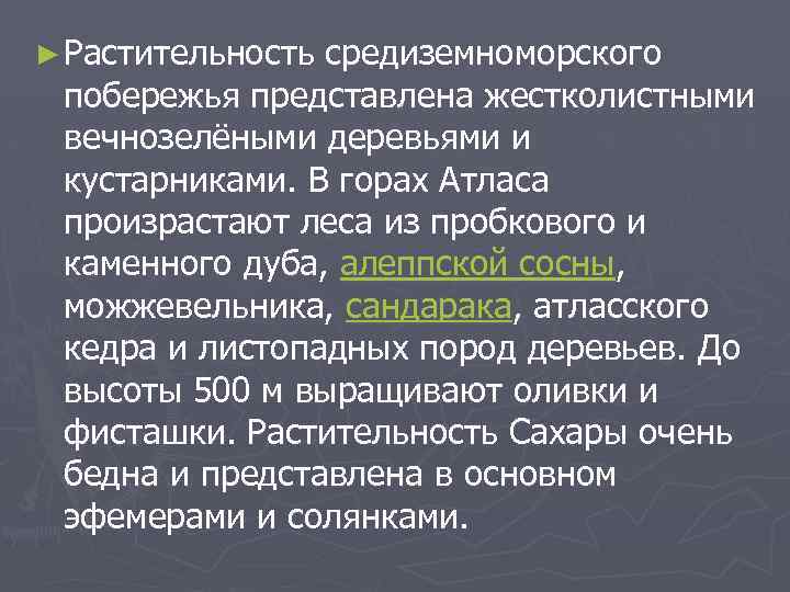 ► Растительность средиземноморского побережья представлена жестколистными вечнозелёными деревьями и кустарниками. В горах Атласа произрастают