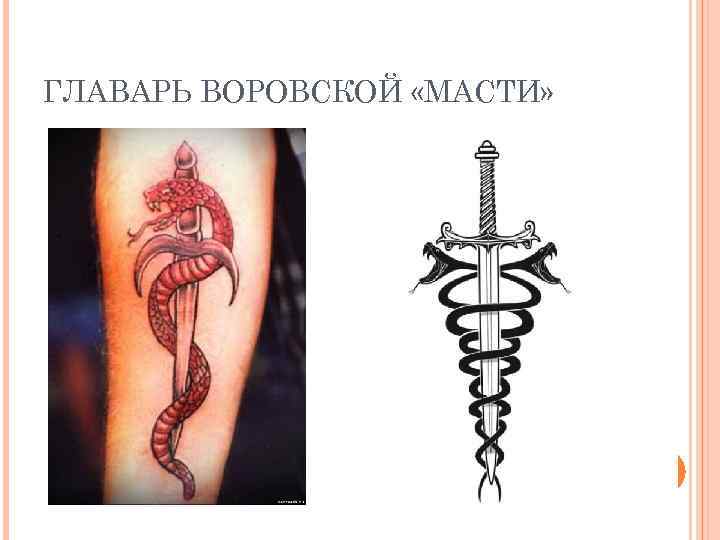 ГЛАВАРЬ ВОРОВСКОЙ «МАСТИ» 